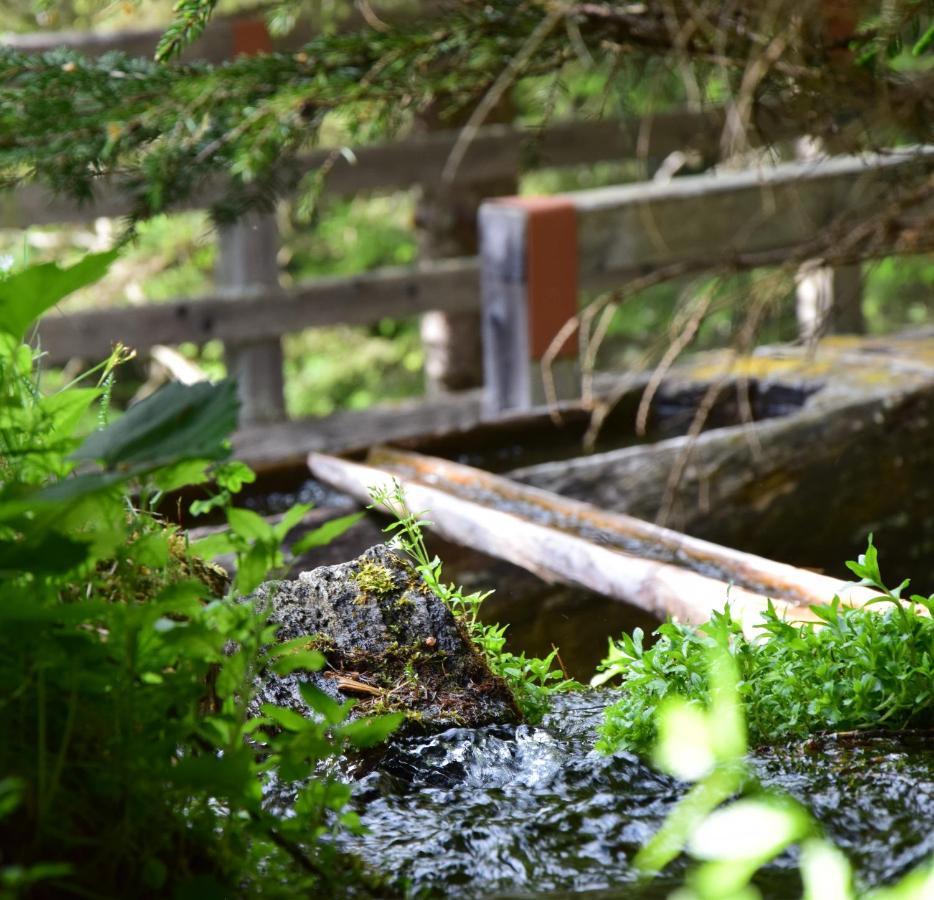 Badl Im Muehlbacher Talile Gais Exteriér fotografie