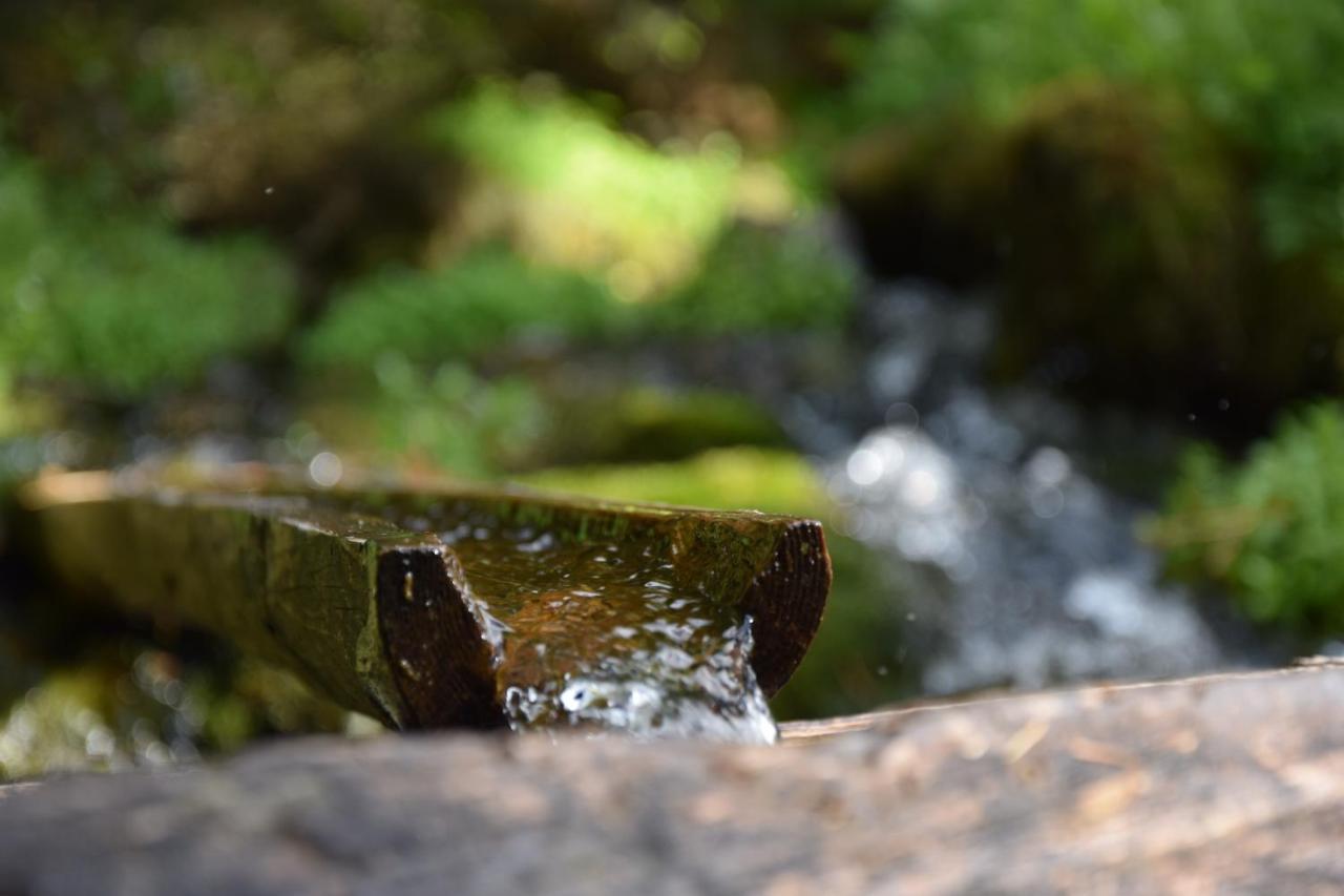 Badl Im Muehlbacher Talile Gais Exteriér fotografie